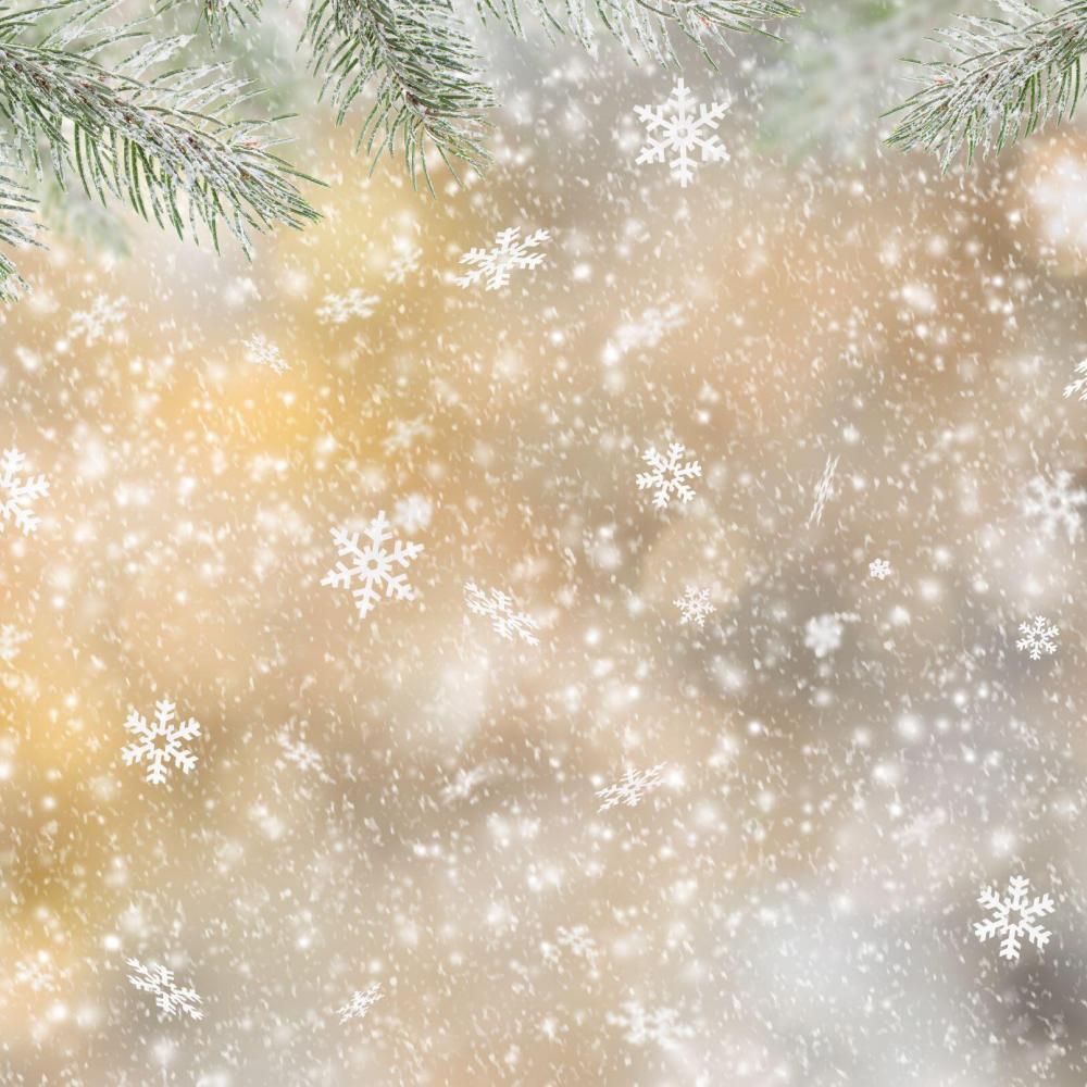 Kerst nieuwsbrief cassatie Kerst nieuwsbrief cassatie
